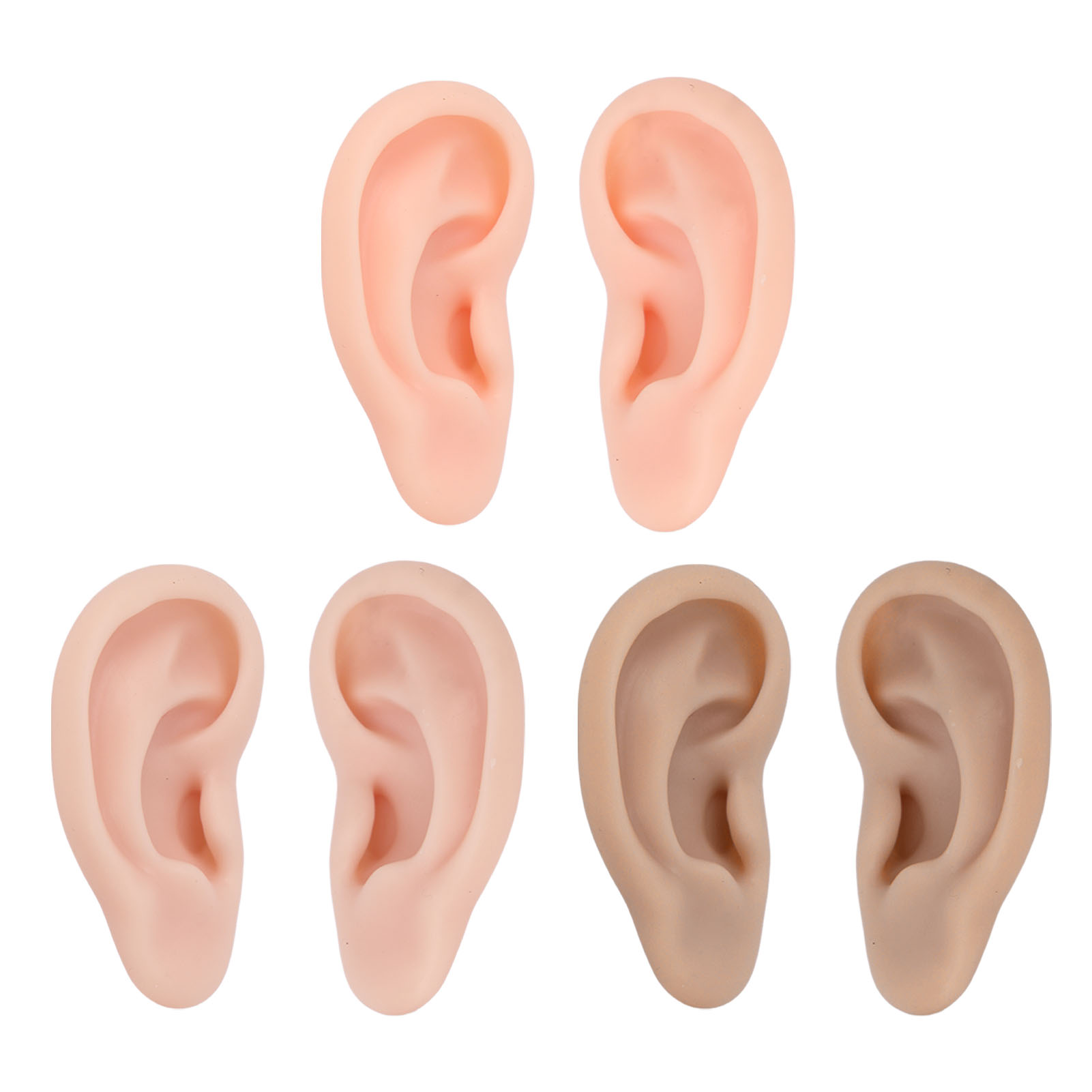 Silicone Human Ear Model 1 Pai - Body Jewelry Display incelemesi ve fiyatı